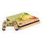 Profile of the Lion of Judah PlayStation PS4 Skins